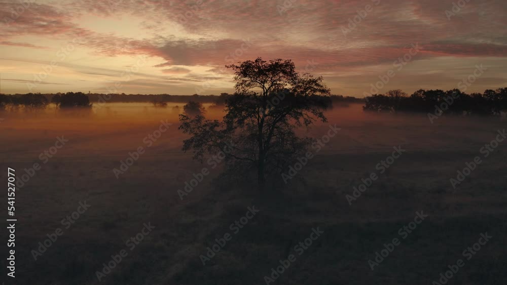 Silhouette eines Baumes bei Sonnenaufgang Silhouette eines Baumes bei Sonnenaufgang