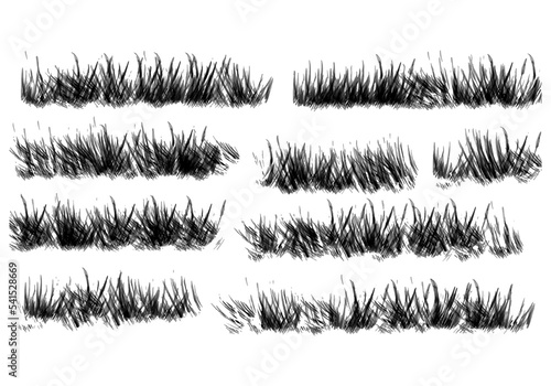 grass silhouette isolated on white