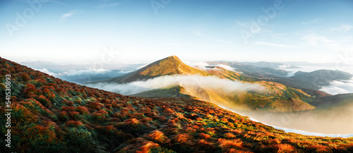 Canvas Print Orange grass trembling in the wind in autumn mountains at sunrise