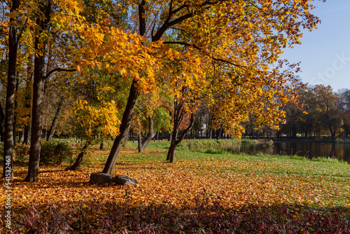 Jesień w Parku Lubomirskich, Białystok, Podlasie