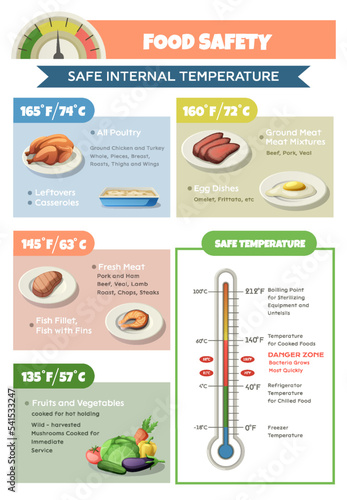 Food Safety Temperature Infographics
