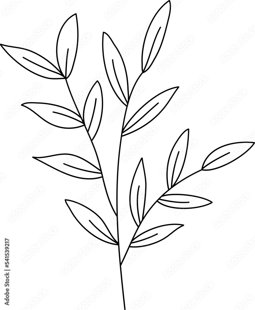 Field plant line vector, line flower vector, minimalist line design, wildplant vector Field plant line vector, line flower vector, minimalist line design, wildplant vector