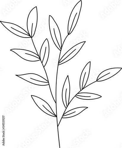 Field plant line vector, line flower vector, minimalist line design, wildplant vector