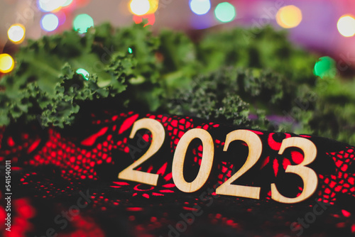 new year picture on red background numbers 2023 and kale leaves in the background selective focus