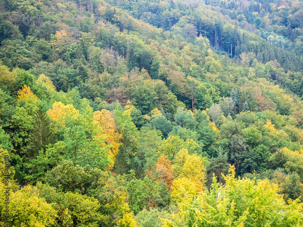 beautiful autumn forest on the slope of the Alpine mountains