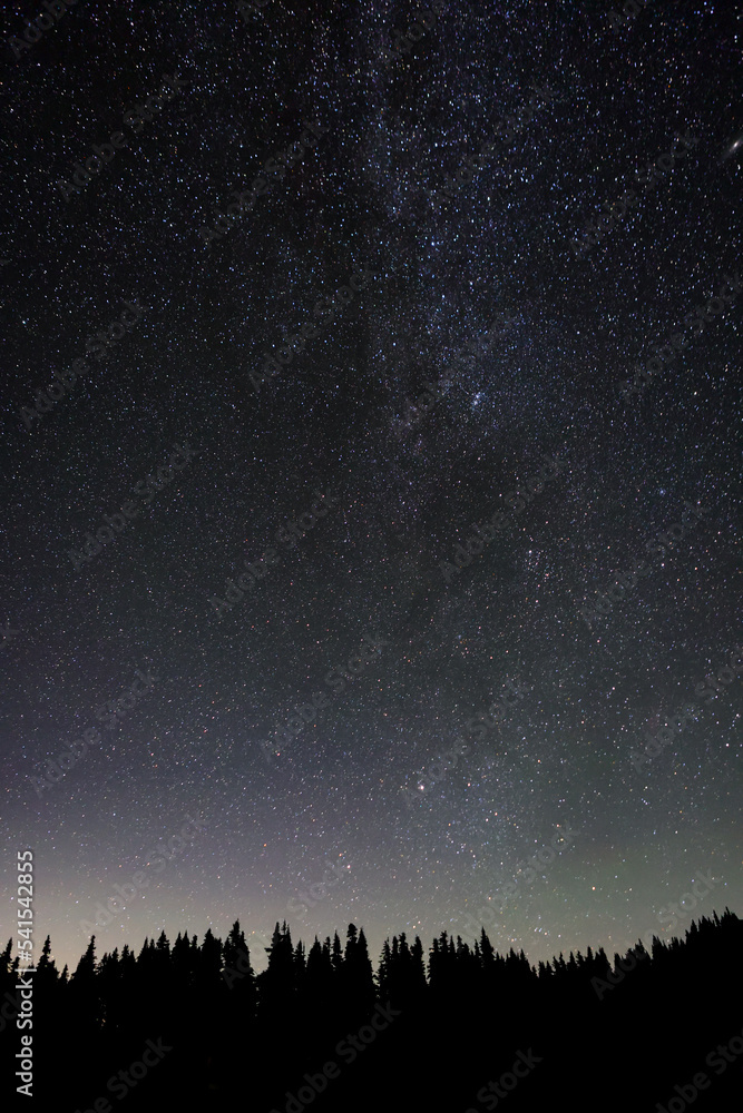 Stars at Hurricane Ridge in Washington State