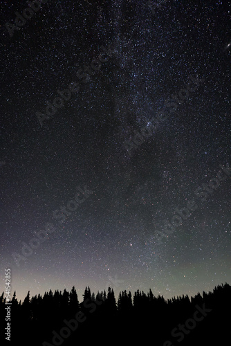 Stars at Hurricane Ridge in Washington State