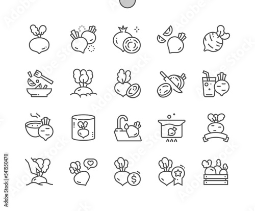 Beetroot vegetable. Cooking, recipes and price. Whole and cut beet. Food shop, supermarket. Beet juice. Pixel Perfect Vector Thin Line Icons. Simple Minimal Pictogram