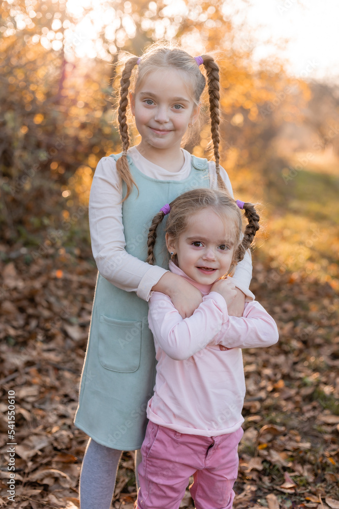 children walk, play, socialize and have fun in the autumn park on a warm sunny day, lifestyle children walk, play, socialize and have fun in the autumn park on a warm sunny day, lifestyle
