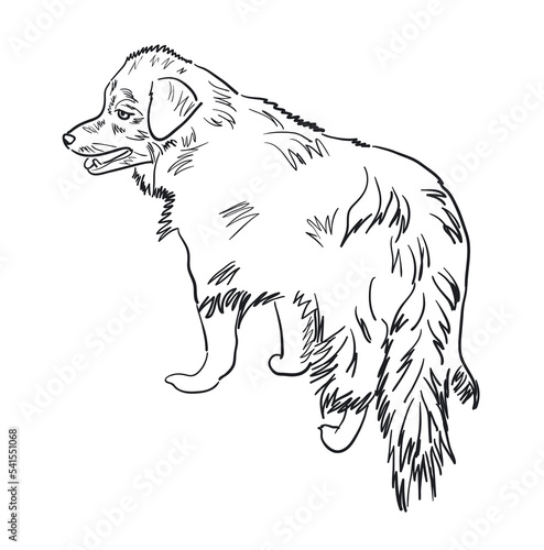 Outline of a shaggy dog