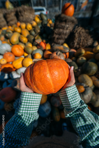 Female hands hold out a small pumpkin.