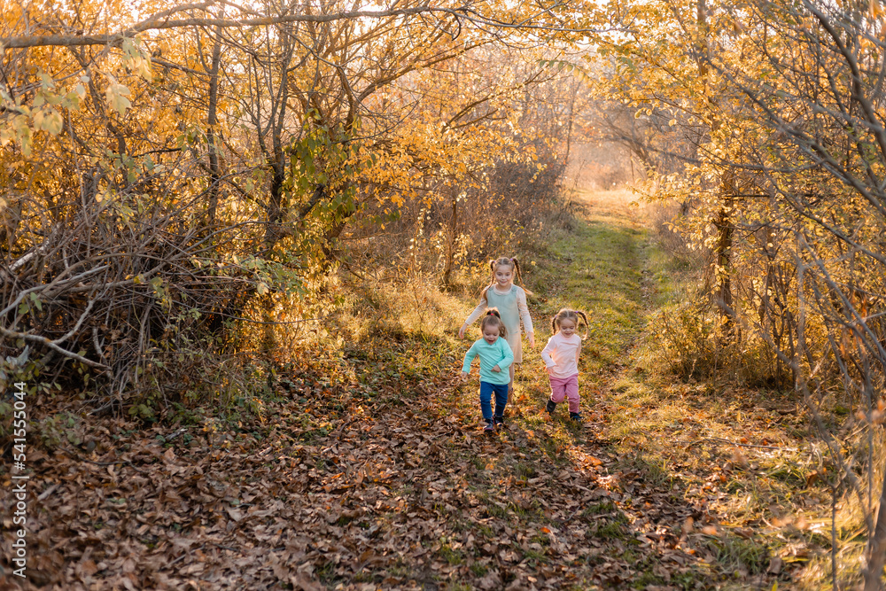 Fototapeta premium children walk, play, socialize and have fun in the autumn park on a warm sunny day, lifestyle