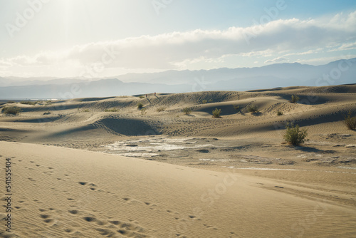 Sand dunes in desert, Death Valley, California