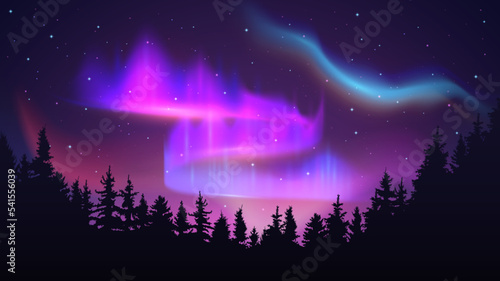 Night sky with polar lights. Aurora borealis, northern merry dancers and nature forest on north light background vector Illustration © WinWin