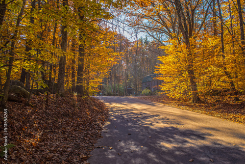 New Hampshire country road fall colors