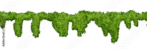 Horizontal endless swamp moss pattern on white background. Top of fence or wall with climbing plants. Bush line. Forest lichen. Vector illustration