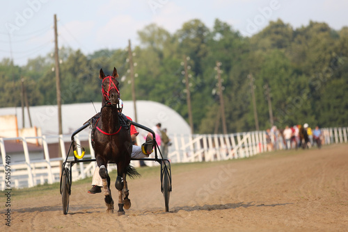 Horse and rider running at horse races