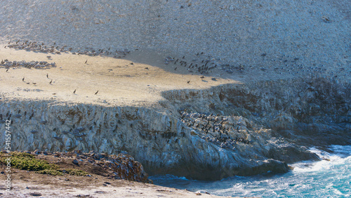Point Lobos Bird Island Trail Big Sur California 