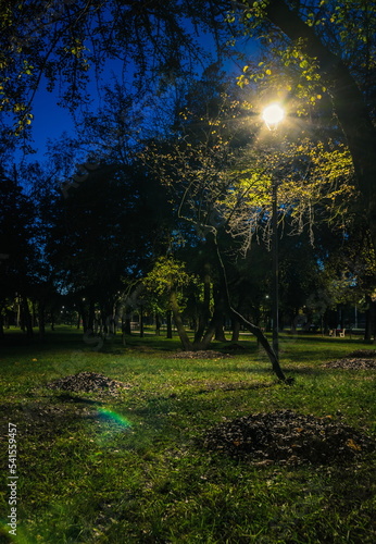 The tailed lawn with yellow leafs in the night park with lanterns in autumn. Benches in the park during the autumn season at night. Illumination of a park road with lanterns at night. Park Kyoto