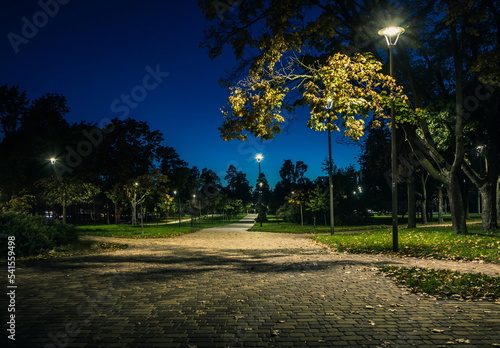 Fototapeta Naklejka Na Ścianę i Meble -  The tailed lawn with yellow leafs in the night park with lanterns in autumn. Benches in the park during the autumn season at night. Illumination of a park road with lanterns at night. Park Kyoto