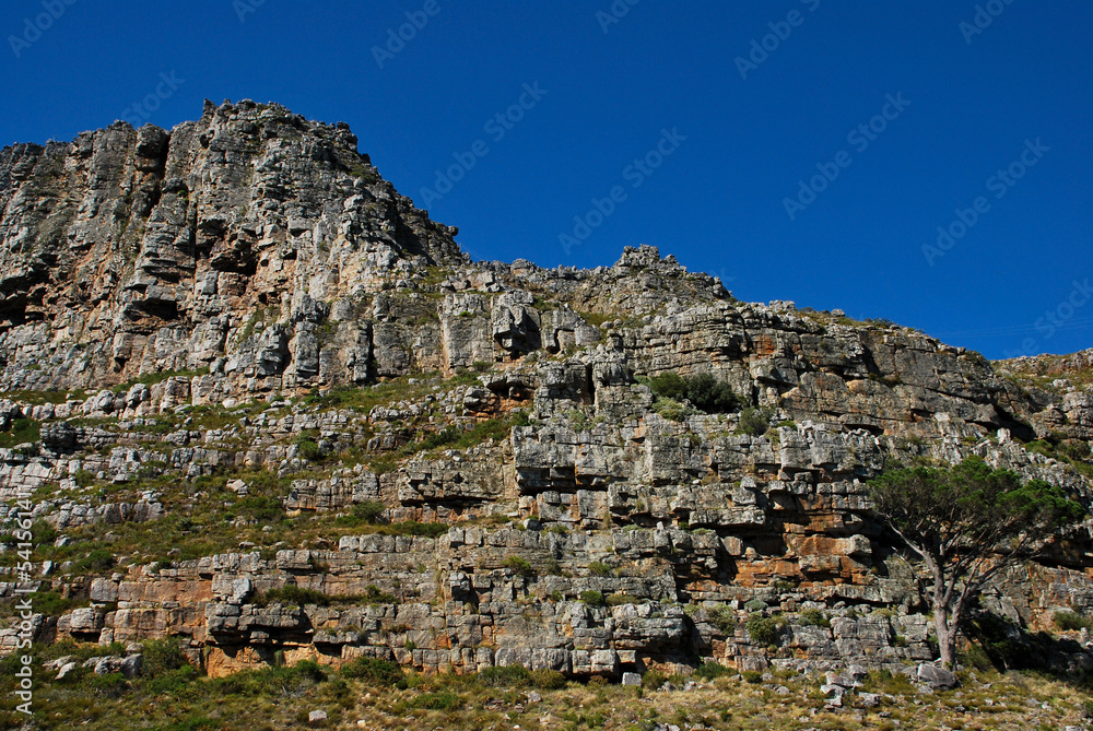Naklejka premium landscape with blue sky