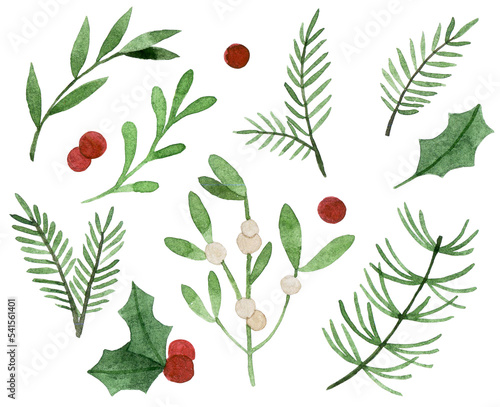 watercolor drawing. christmas plants. set of simple winter leaves and branches, holly, mistletoe, spruce. photo