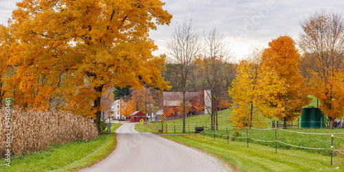Fototapeta Naklejka Na Ścianę i Meble -  Country road winding through autumn trees and fall cornfields in Amish farmland | Holmes County, Ohio