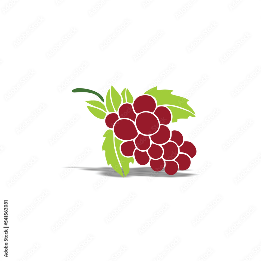 vector simple fruit grapes logo vector simple fruit grapes logo