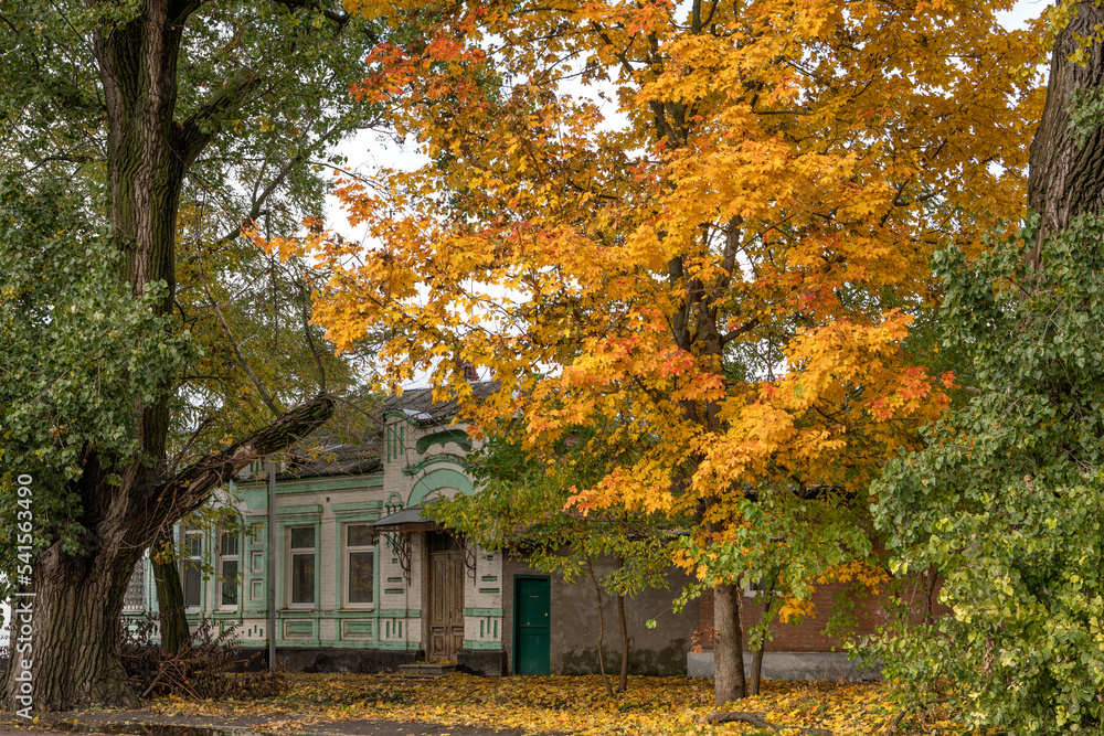 Bright colors of autumn in the alley of the southern provincial town.