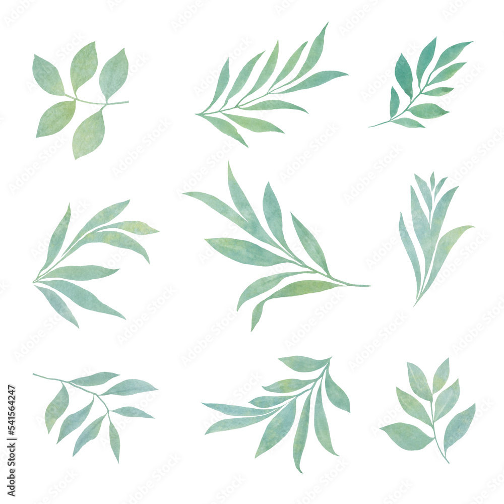 set of watercolor leaves for design, green abstract branches with leaves.
