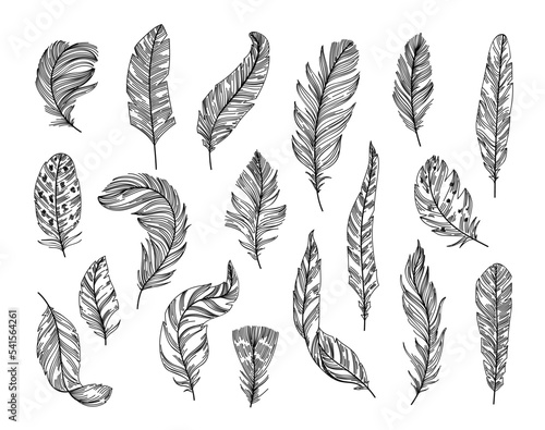 Sketch ethnic feathers. Hand drawn bird feather, light and soft plume. Tribal line art vector illustration set