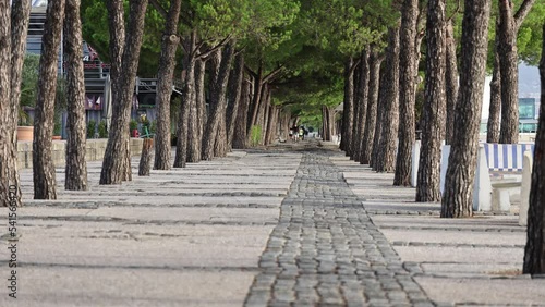 Park covered with trees and people exercising there, Parque das Nacoes in Lisbon, Portugal