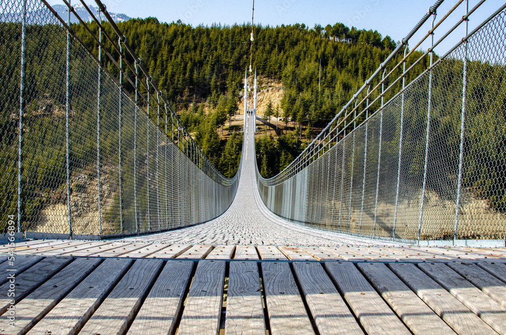 Fototapeta premium suspension bridge over the river