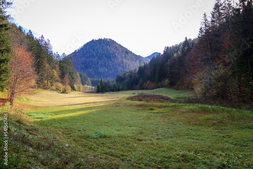 Ötscherland Niederösterreich wiese Wald Herbst