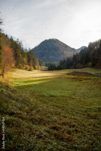 Ötscherland Niederösterreich wiese Wald Herbst