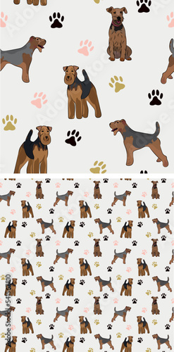 Seamless welsh terrier dog pattern, holiday texture. Square format, t-shirt, poster, packaging, textile, socks, textile, fabric, decoration, wrapping paper. Trendy hand-drawn Welsh dog wallpaper.