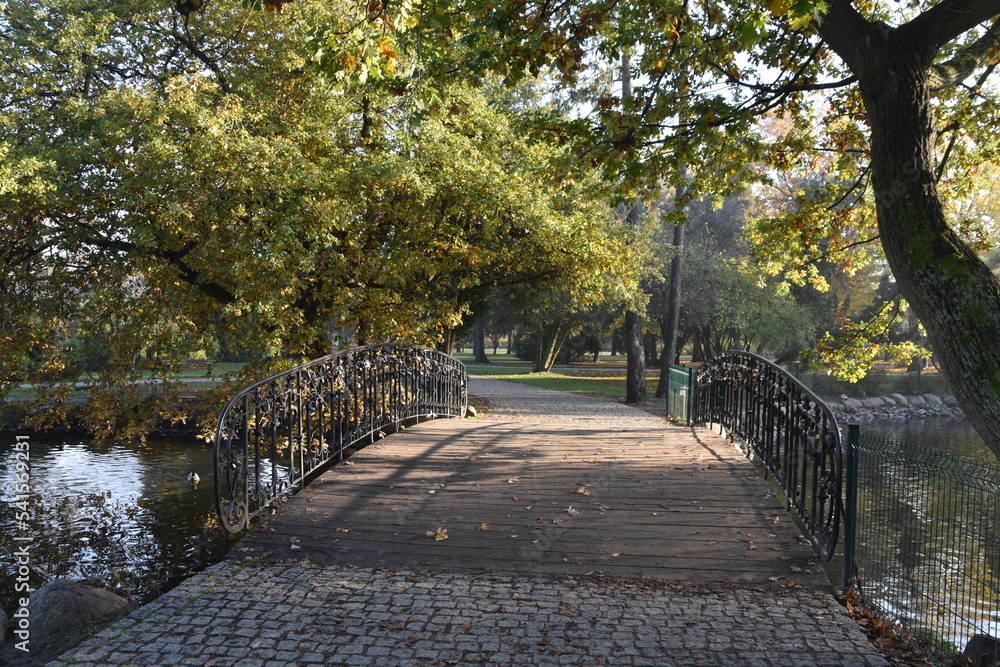 jesień, babie lato, park, liście, Ciechocinek,