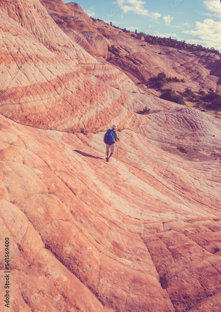 Naklejka premium Hike in Utah