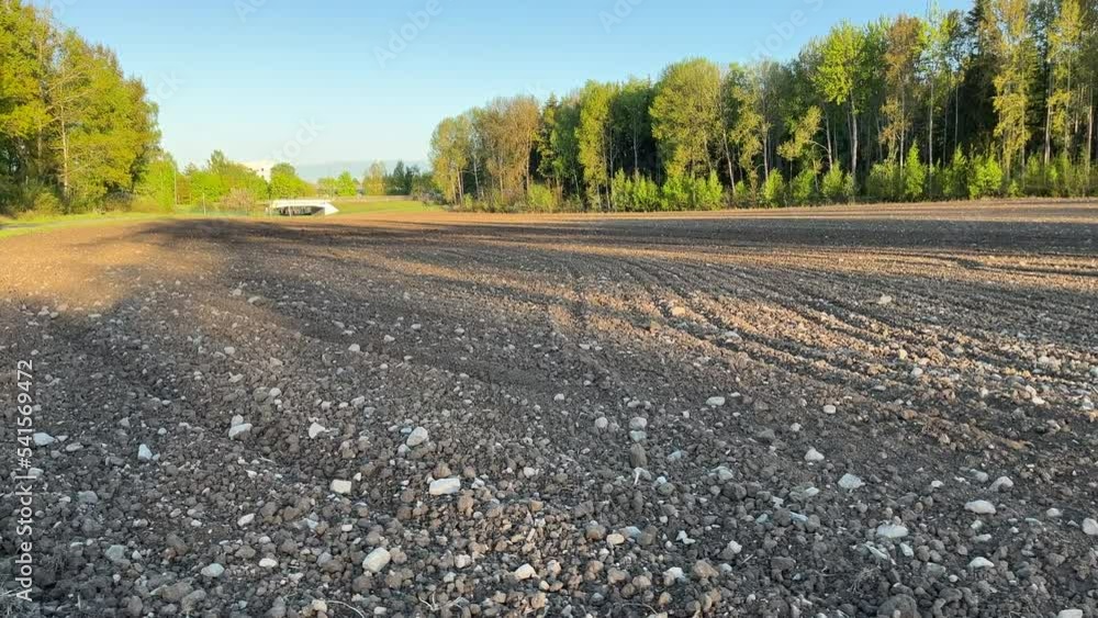 Dry soil during the spring. Waiting for the rain for growth. Stockholm, Sweden, Europe.