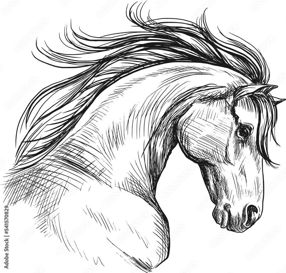 Horse head sketch in profile. Vintage vector illustration. Stock Vector