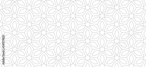 Luxury floral seamless pattern. Abstract geometric background in minimalistic linear style. Stylish vector design. photo