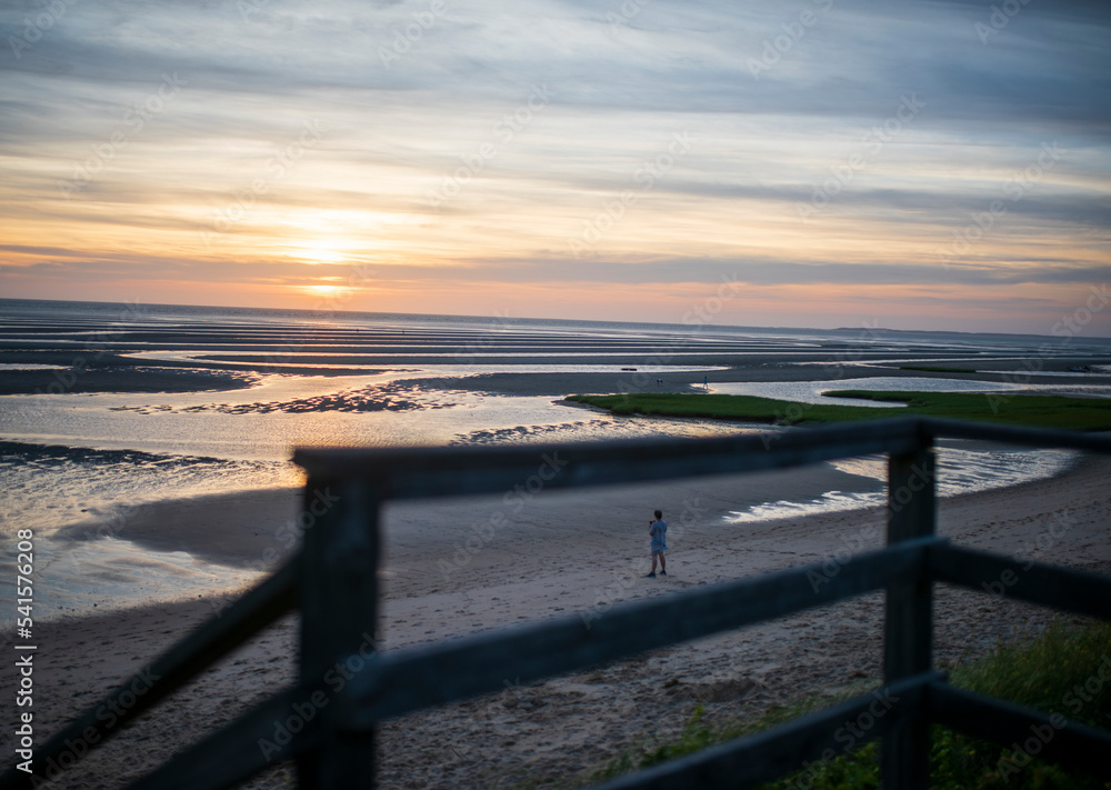 A boy looks out at the beautiful cape cod summer sunset