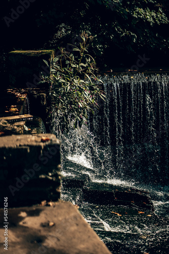 Wallpaper Mural A quiet English woodland area on a bright sunny day Torontodigital.ca