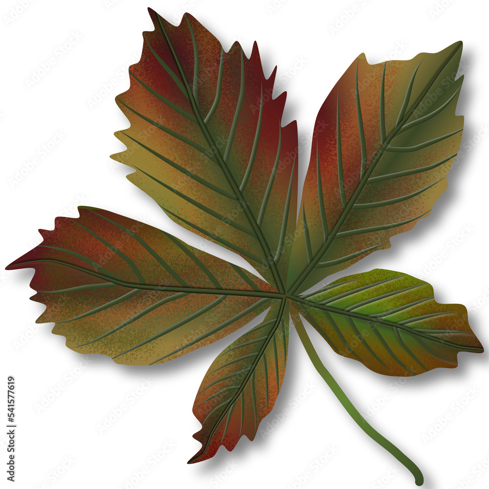 Autumulticolor chestnut leaf