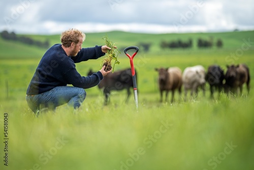 regenerative organic farmer, taking soil samples and looking at plant growth in a farm. practicing sustainable agriculture