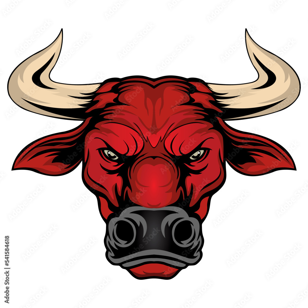 bull head isolated on white bull head isolated on white