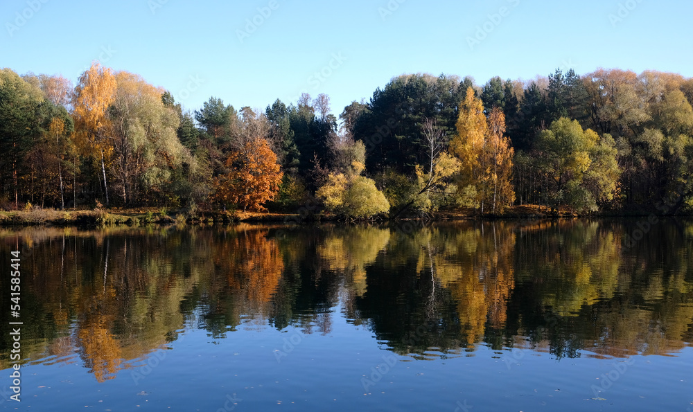 Calm countryside landscape with quiet river and motley autumn colorful forest after it under blue sky panoramic view
