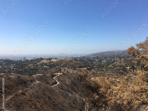 Griffith Park near the Griffith Observatory in Los Angeles, California.