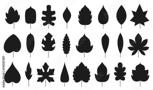 Leaf black flat silhouette icon set. Eco nature organic leaves of oak birch maple, monstera, poplar ash aspen chestnut. Contour sprout isolated on white. Forest plant foliage herbal deciduous tree
