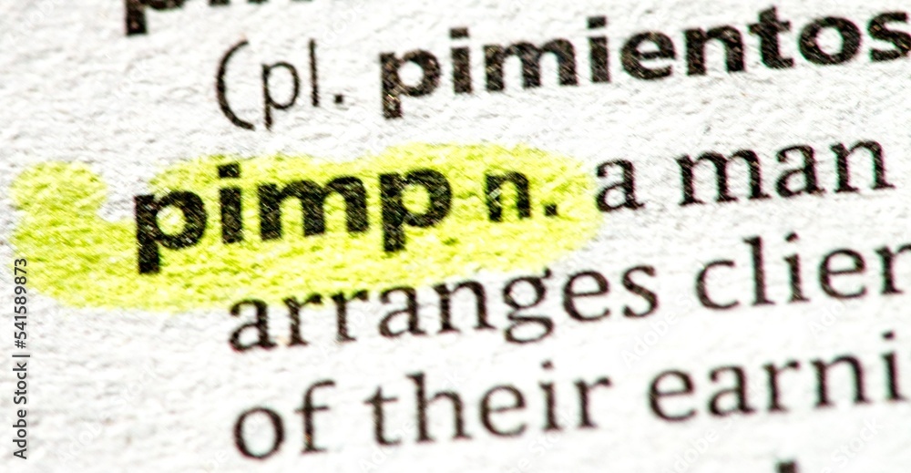 Obraz premium Close up photo of the word pimp of war in a dictionary book